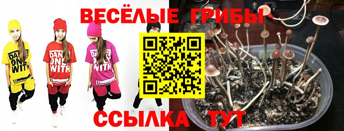 Сургут  Псилоцибиновые грибы мицелий  Вход с VPN 