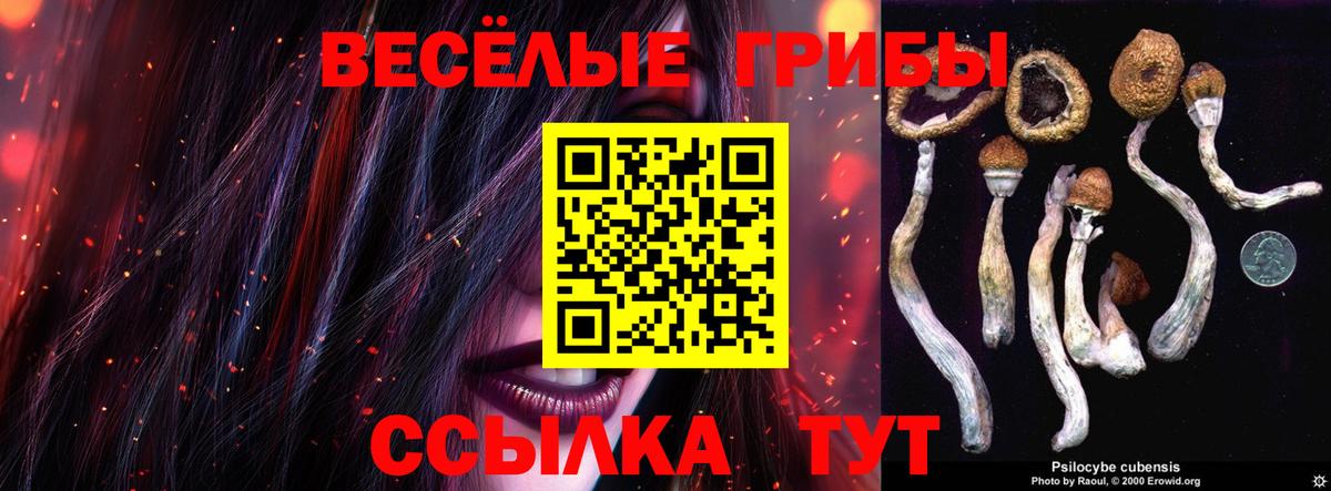 Псилоцибиновые грибы мицелий Сургут