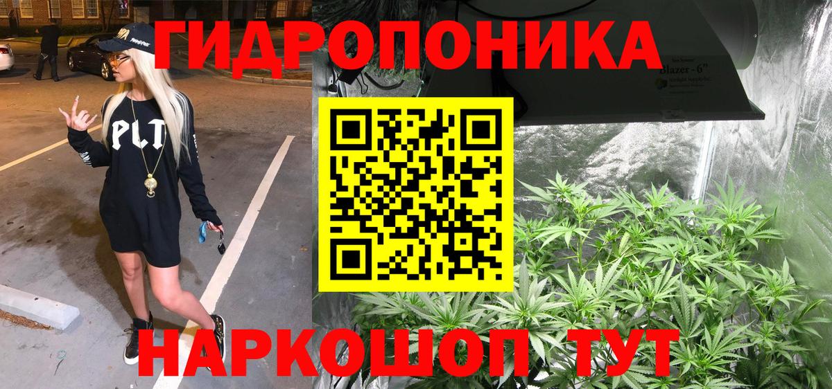 Каннабис семена  Конопля конопля  Сургут  МАРИХУАНА Bruce Banner  Вход с VPN  Канабис OG Kush 